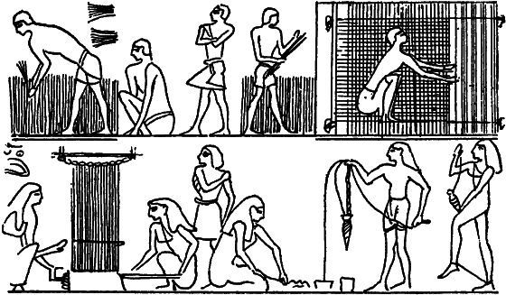 Растения в жизни человека i_062.png