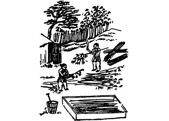Растения в жизни человека i_085.png