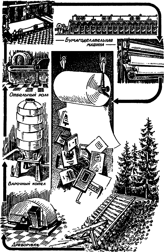 Растения в жизни человека i_090.png