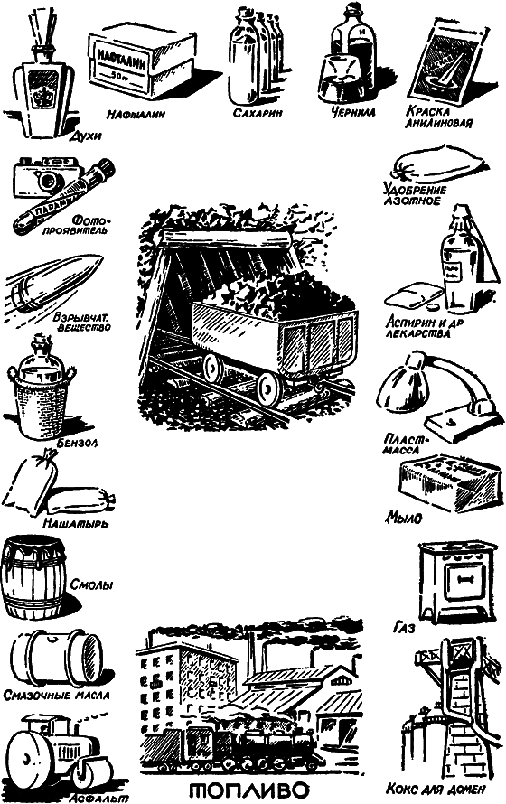 Растения в жизни человека i_100.png