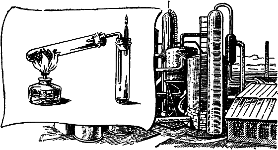 Растения в жизни человека i_101.png