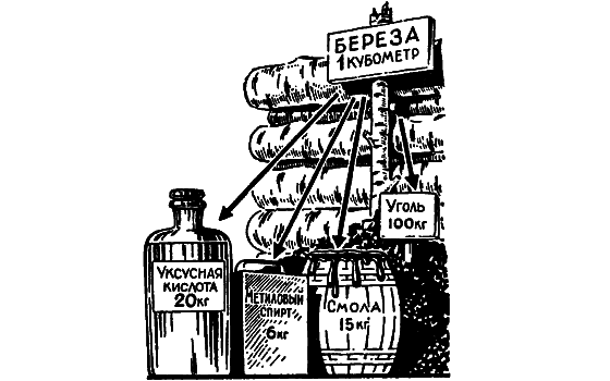 Растения в жизни человека i_103.png
