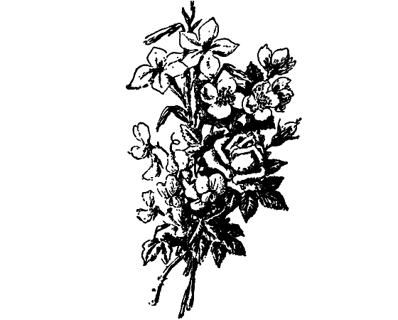 Растения в жизни человека i_110.png