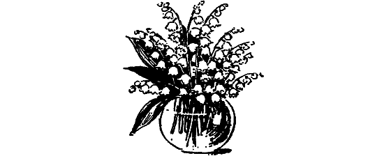 Растения в жизни человека i_112.png