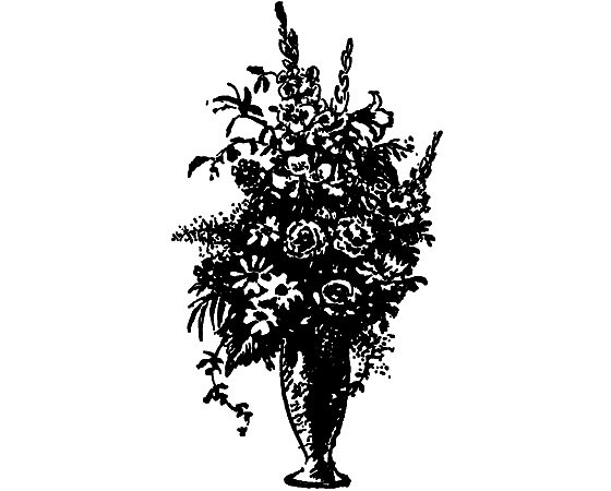 Растения в жизни человека i_123.png