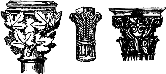 Растения в жизни человека i_135.png
