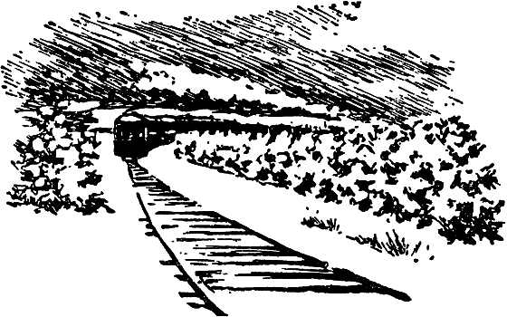 Растения в жизни человека i_151.png