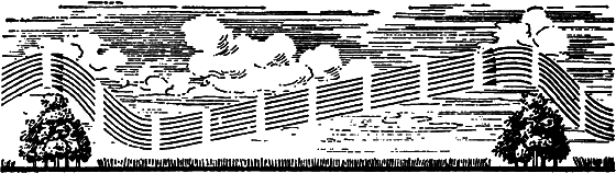 Растения в жизни человека i_153.png