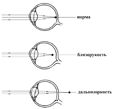 Супер-зрение. Лучшие рецепты народной медицины от А до Я i_002.png