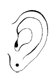 Супер-зрение. Лучшие рецепты народной медицины от А до Я i_008.png