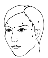 Супер-зрение. Лучшие рецепты народной медицины от А до Я i_009.png