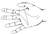 Супер-зрение. Лучшие рецепты народной медицины от А до Я i_010.png