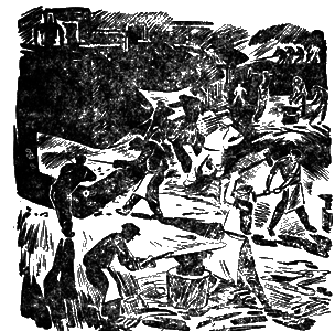 Всемирный следопыт, 1930 № 12 i_022.png