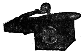 Всемирный следопыт, 1930 № 12 i_044.png