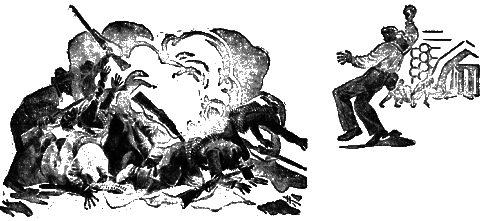 Всемирный следопыт, 1930 № 12 i_011.png