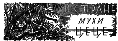 Всемирный следопыт, 1930 № 07 i_028.png