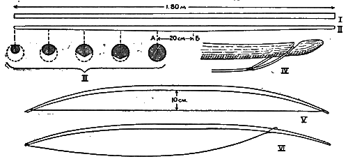 Всемирный следопыт, 1930 № 07 i_043.png