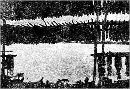 Всемирный следопыт, 1930 № 09 i_027.jpg