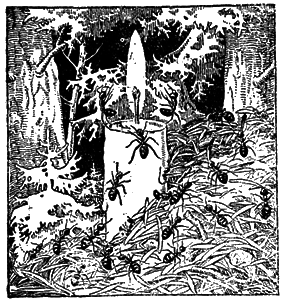 Всемирный следопыт, 1930 № 09 i_058.png