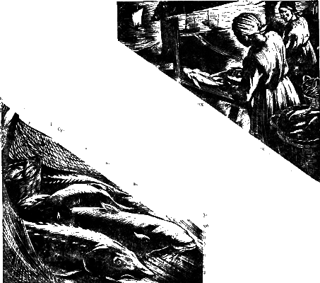 Всемирный следопыт, 1930 № 09 i_021.png
