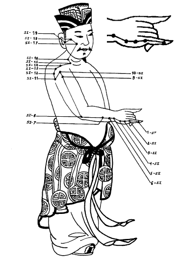 Йога Small_Intestine.png