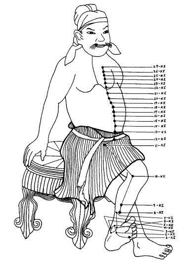 Йога Kidney.png