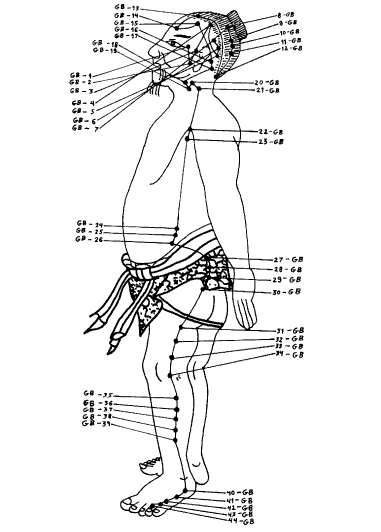 Йога Gall_Bladder.png