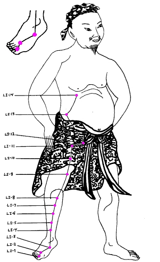 Йога Liver.png