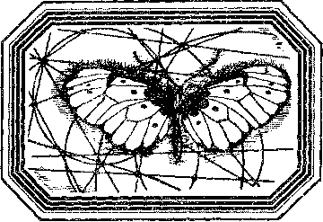Чозения i_009.png