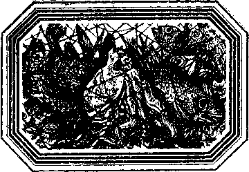 Чозения i_004.png