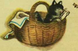 Косточка i_013.jpg