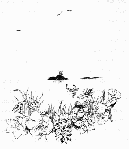 Летняя книга image3.png