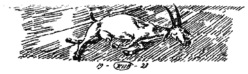 Коза-дереза i_008.png
