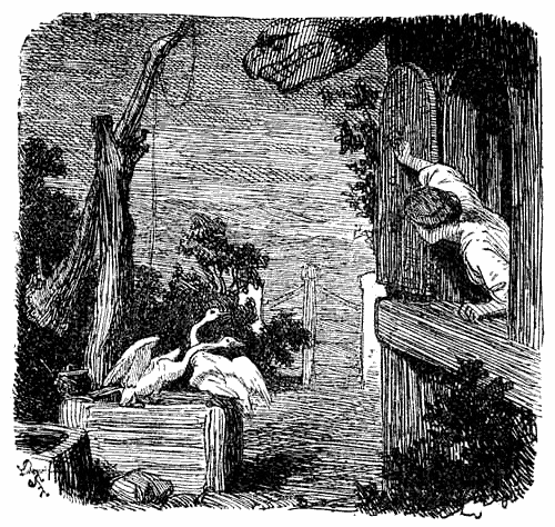 Дочь болотного царя i_015.png