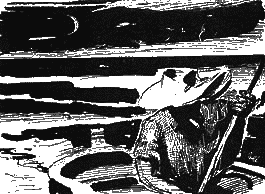 Рассвет в дебрях буша i_006.png