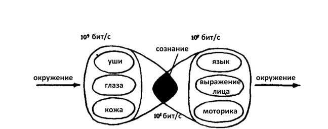 i_013.jpeg