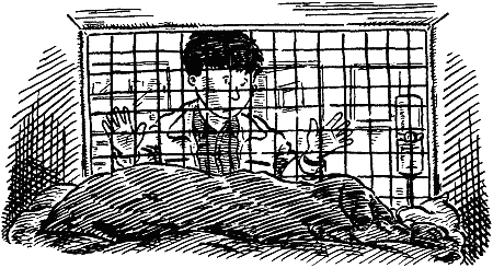 Джесси-подкидыш i_009.png