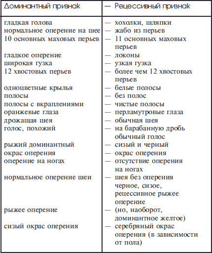 Справочник по домашнему голубеводству i_004.png
