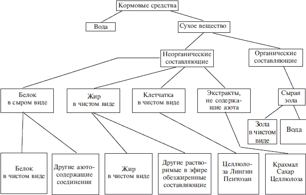 Справочник по домашнему голубеводству i_005.png