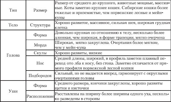 Сибирская кошка _05.png