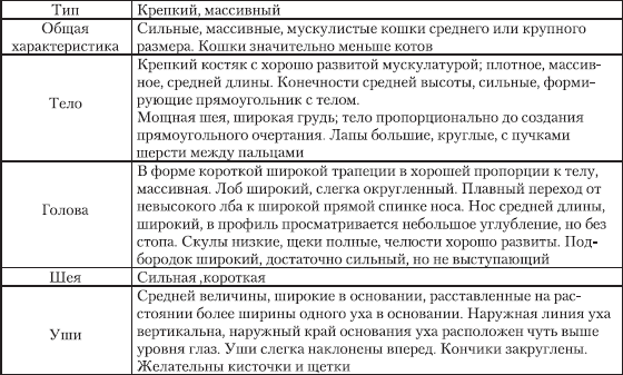 Сибирская кошка _09.png