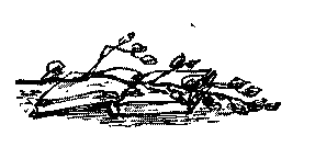 Люди нашего берега i_008.png