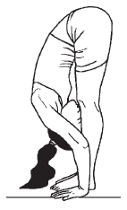 Фитнес после 40 i_024.png