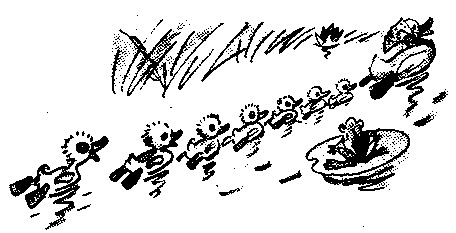 Знаменитый утенок Тим image14.png