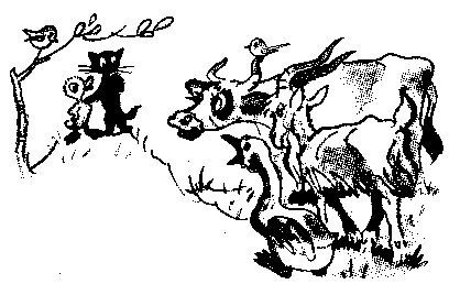 Знаменитый утенок Тим image19.png