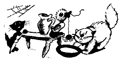 Знаменитый утенок Тим image22.png