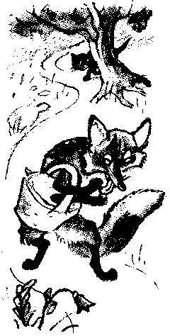 Знаменитый утенок Тим image29.png