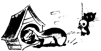 Знаменитый утенок Тим image52.png