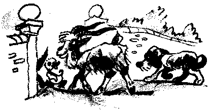 Знаменитый утенок Тим image54.png