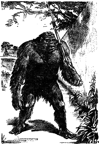 Всемирный следопыт 1929 № 05 i_033.png
